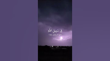 سورة النساء محمد اللحيدان