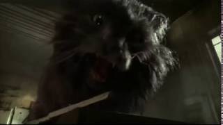 Mousehunt - Catzilla Vs Mouse - Sub Esp