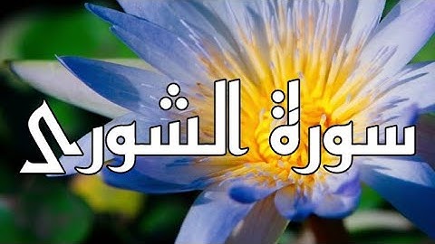 سورة الشوري القارئ الشيخ فارس عباد مكتوبة