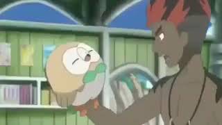 The Rowlet Throw my Favorite Pokemon Meme