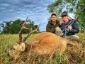 Bockjagd in Schweden / Roebuck Hunting in Sweden