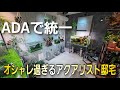 【衝撃映像】全てADAで統一された美しすぎるアクアリスト邸宅に潜入‼ 衝撃の裏メインも⁉ ルームツアー aquarium アクアリウム 熱帯魚 水槽 水草 流木 テラリウム ビカクシダ