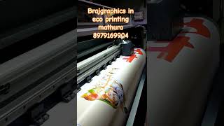 Eco Solvent Machine Braj Graphics