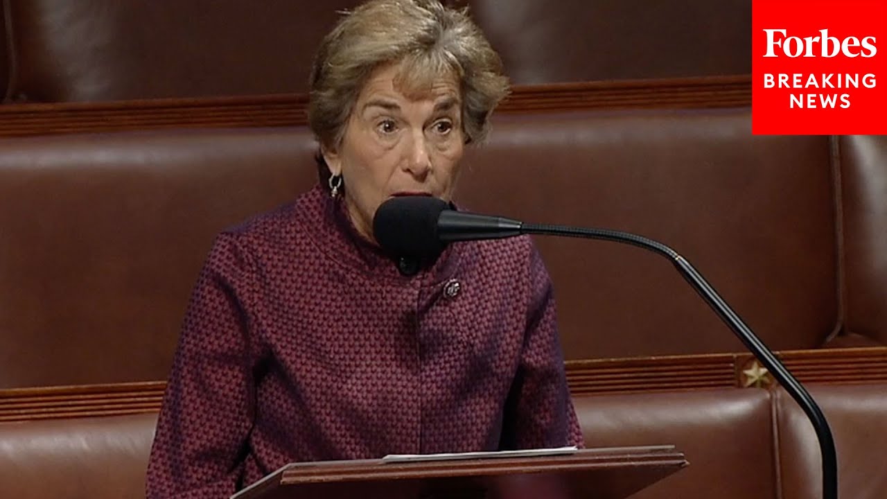 'It Makes Giant Companies Pay Their Fair Share': Jan Schakowsky Promotes Antitrust Legislation