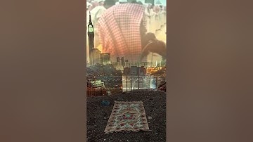 سورة النجم كاملة للتحميل بشكل جاهز على تيكتوك للشيخ محمد اللحيدان