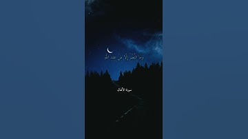 حالات واتس قرآن كريم |محمد صديق المنشاوي (وَمَا النَّصْرُ إِلَّا مِنْ عِندِ اللَّهِ)