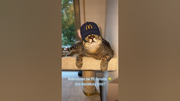Mr. Karlo „Herzlich willkommen bei @McDonalds 🐱 Ihre Bestellung bitte?“ #shorts