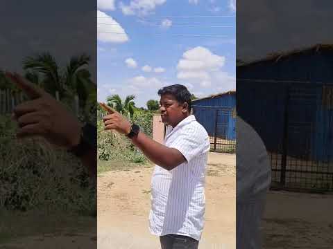 6 Acres agricultural land sale Bagepalli near