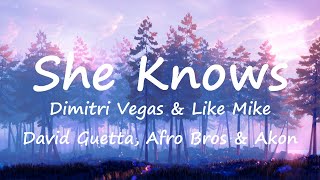 Dimitri Vegas & Like Mike, David Guetta, Afro Bros & Akon - She Knows (Lyrics Video)