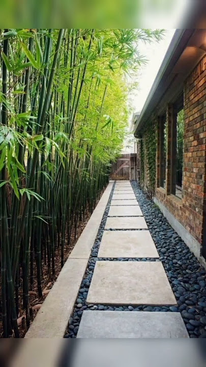Backyard Garden Ideas #backyard #garden #landscape #green #plants #indoor #rear #courtyard #viral