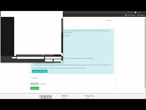 Utah Medicaid EVV CSV File Training Video