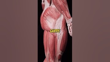 Build STRONG Glutes & Hamstrings!💪🏼