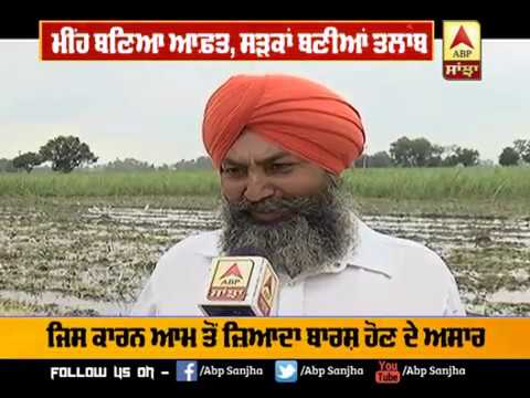 ਮੀਂਹ ਪੈਣ ਕਾਰਨ ਬਾਗੋਬਾਗ ਹੋਏ Farmer | ABP Sanjha |