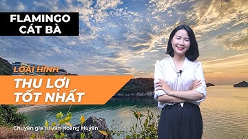 [Flamingo Cát Bà] Loại hình căn hộ đầu tư thu lợi nhuận tốt nhất ???