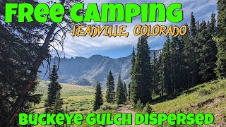 Free Camping In Leadville Colorado: Buckeye Gulch Dispersed Plus Bonus Locations
