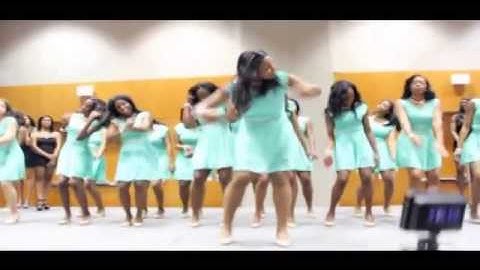 Spring 2013 Delta Xi AKA Probate