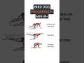 Bird Dog Progression for Men Over 40