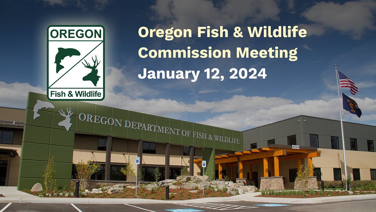 Oregon Fish Wildlife Commission Meeting January 12 2024 YouTube Oregon Fish Wildlife Commission Meeting January 12 2024 YouTube