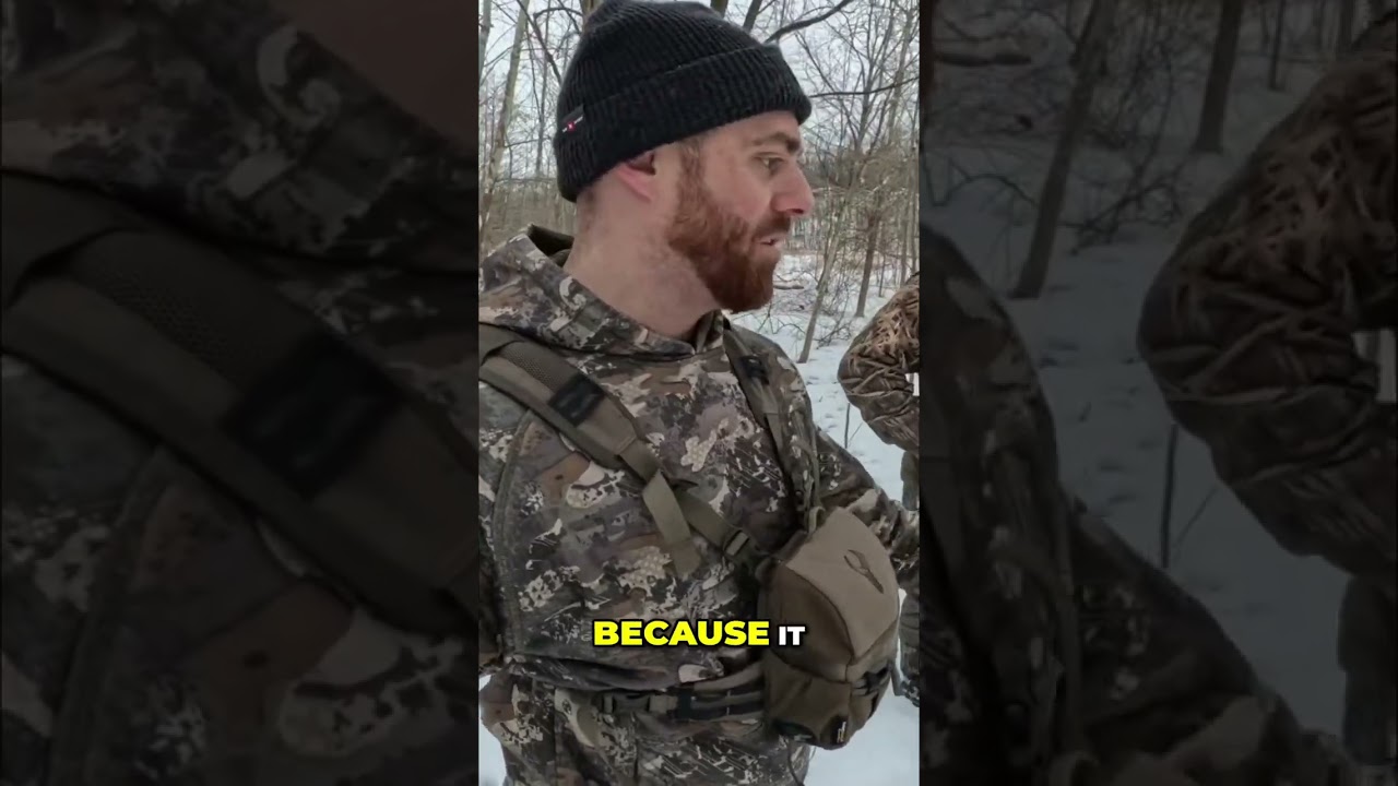 Snowy Woods Antler Hunt: Why Sheds Are EASY to Find Now! #shorts