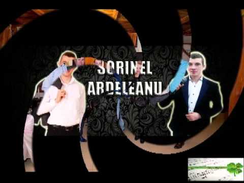 sorinel ardeleanu si formatia cosmin marta audio