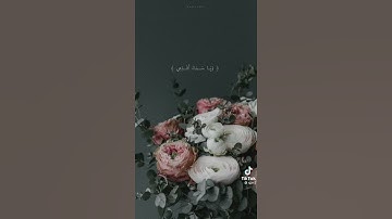 قرآن كريم بصوت اسلام صبحي (حالات واتس) ❤️🌹