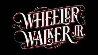 Wheeler Walker Jr - Redneck Shit (Karaoke)