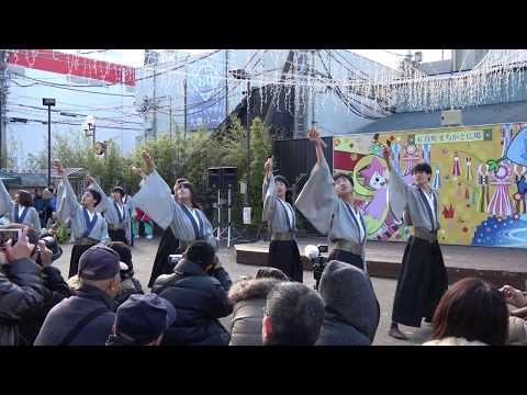 あーしゃ＠湘南ひらつかスターライトフェスティバル2017　1st演舞【4K】