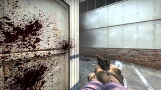 CS:GO - AWP/M4 Ace (Collateral)