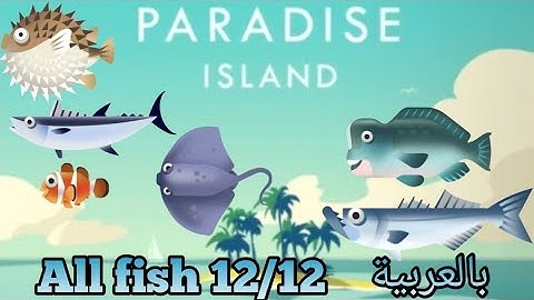 Creatures of the deep paradise island All fish