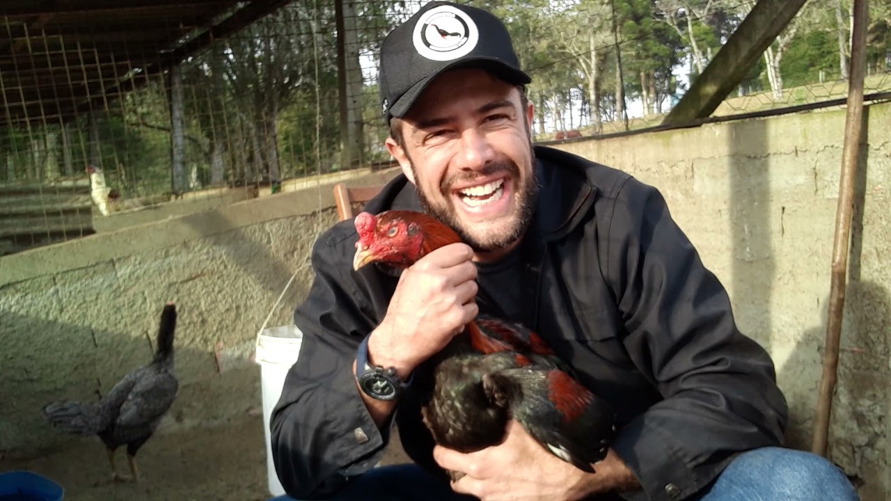 Reprodutores Boca de Lata Parte 2  KAWASAKI