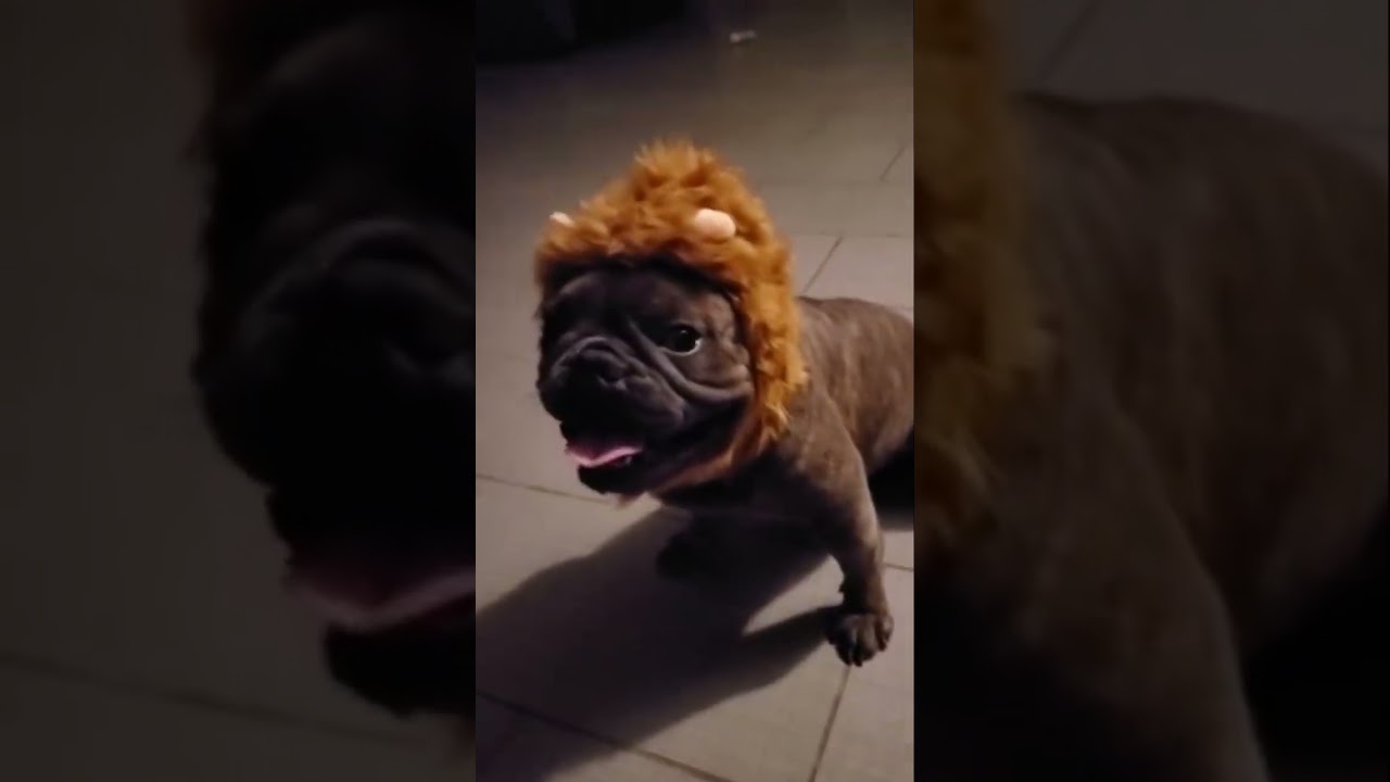 December 28, 2025               Superstar 