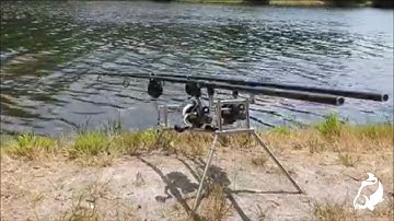 Carp Run COMPILATION 2020! PART 26!