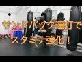 スタミナ強化！『サンドバック連打』で心肺を強く。キックボクシングの追い込みでちゅ