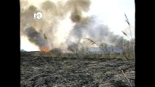1984 Willoughby Marsh Fire WAVY Archive