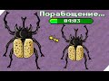 70 ЖУКОВ ПРИЗВАЛИ И ЭТО СТОЯЛО СДЕЛАТЬ! - Pocket Ants Симулятор МУРАВЕЙНИКА