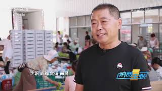 《消费主张》 20230706 昔日“金贵果”价格变亲民 今年哪款葡萄受青睐？| 财经风云