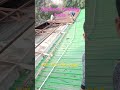 Roofing shed old sheet ￼ remove and new sheet install ￼, Industry shed, all india service
