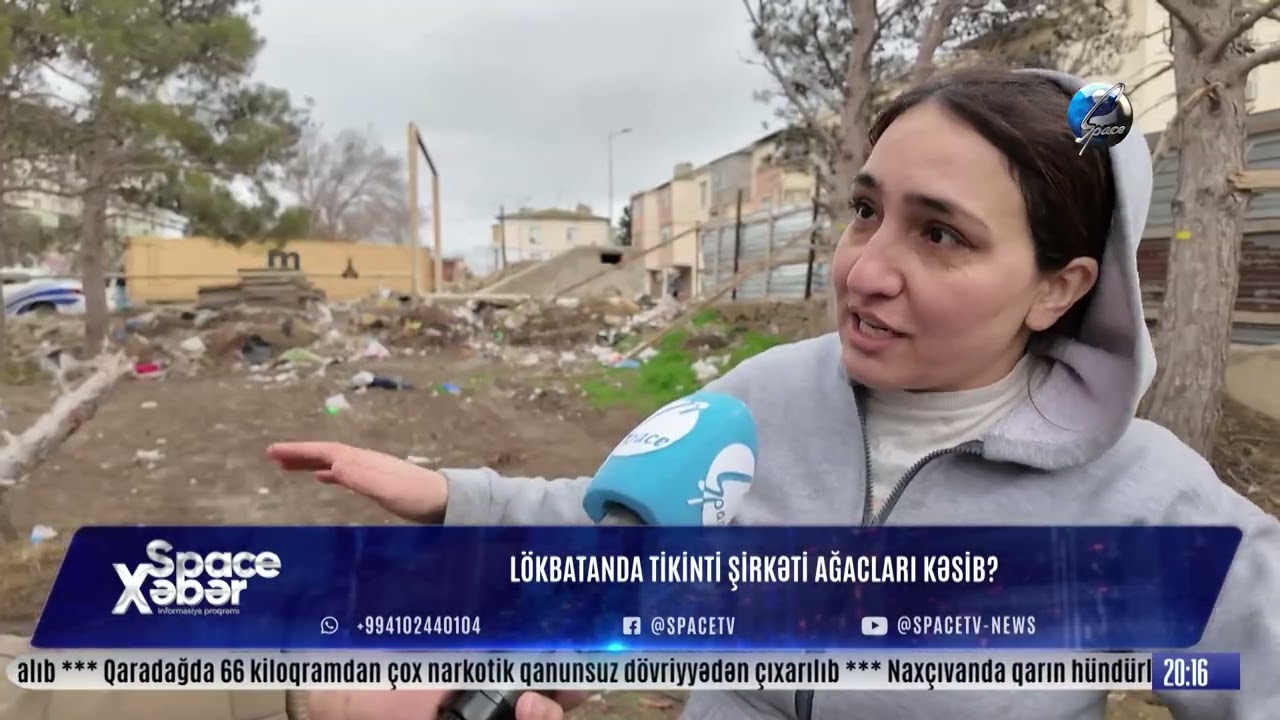 Lökbatanda Tikinti Şirkəti Ağacları Kəsib