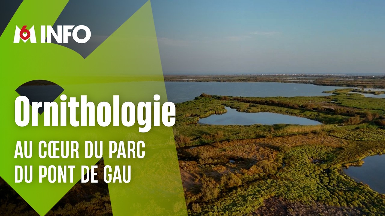Immersion au parc ornithologique du Pont de Gau