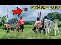 🔴Viral‼️ Merpati nggak giring bisa menang saat lomba