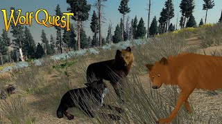 Finding a Mate | Sickly Ironwolf Episode 1 | Season 1 | WolfQuest