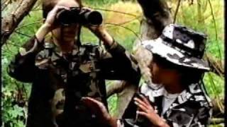 Toon Disney Commercials