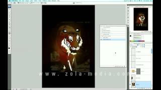 Zola Media Tutorial 03: Vector-Style Flame Tiger (Part 1)