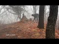 SOLO HIKING IN SOUTH KOREA || PEACFUL & LONELY MOUNTAIN || INDIANS IN KOREA