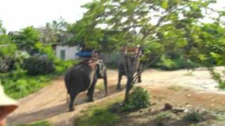 可樂旅遊-泰國6日遊990813_990818-2-1