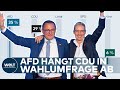 Landtagswahl in sachsen afd laut insawahlumfrage klar auf platz eins