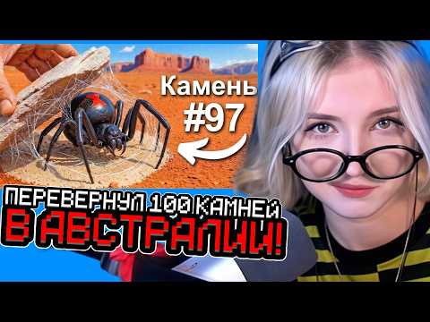 Я Перевернул 100 Камней в Австралии, Вот Что Я Нашел... / РЕАКЦИЯ Laufeech