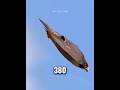 The Bird Of DEATH Falcons Animals Speed The Bird Of DEATH Falcons Animals Speed