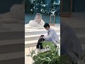 とても可愛いリングドッグの登場💍🐶video by...@ykn0709_wd さま#プラコレ #wedding #dîlan #결혼식 #リングドッグ #指輪演出