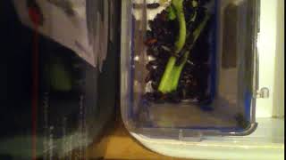 IMG 7665 306